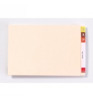 Lateral Buff Files BX 100