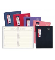 Diary Vanessa A6 Day-To-Page Assorted