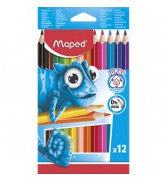 Pencil Coloured Maped Jumbo Pulse Wood Free Box 12