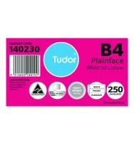 Envelope B4 Tudor 353 x 250mm Peel N Seal Heavy Weight Pocket Box 250