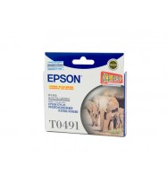 Epson T0491 Black Ink Cartridge - 450 pages