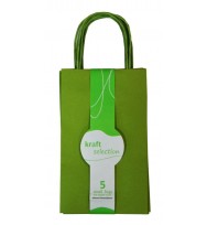 Bag gift kraft small 5pk lime green 160mm x 70mm x 265mm