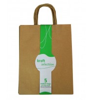 Bag gift kraft medium 5pk brown 254mm x 127mm x 330mm