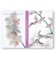 Notelet set ozcorp orchid & blossom (8crds/env)