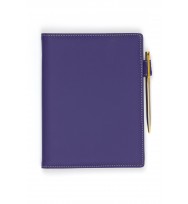 Compendium debden a5 wi/wiro note book & pen grape