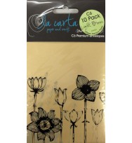 Envelope la carta c6 metallic light brown pk10