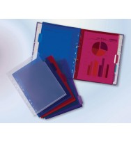 Organiser subject a4 - for binders b/tone pk5 asst.