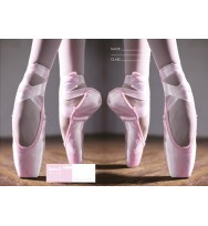 Book jacket spencil 9x7 exercise ballet-pack of 6