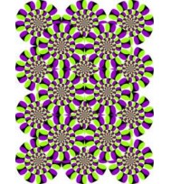 Book covering contact illusions asst designs- box of 20