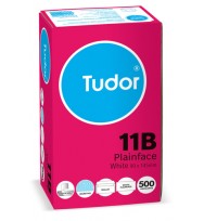 Envelope tudor 11b secret peel/seal u/b bx500