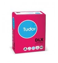 Envelope tudor 120x235 peel/seal u/b bx500