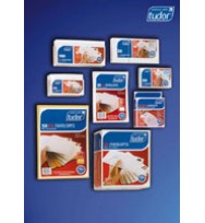 Envelope tudor 380x255 kraft rec peel/seal pk50