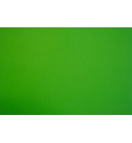 Cardboard xl lime 510x635mm pk 20