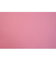 Cardboard xl musk (light) 510x635mm pk 20