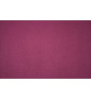 Cardboard xl maroon 510x635mm pk 20