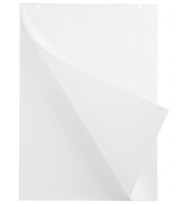 Flip chart pad quartet economy