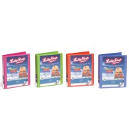 Binder bantex a4 2d 25mm insert lollyshop orange slice