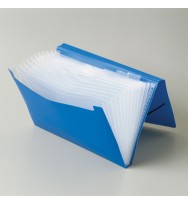 Expanding file marbig f/c 12 poc pp asst col