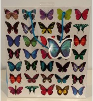 Bag gift large ozcorp butterflies
