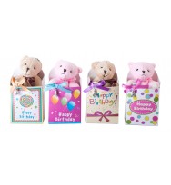 Gift bear in birthday bag