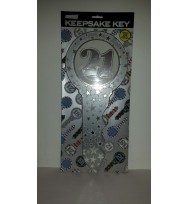 Birthday key ozcorp 21st silver stars
