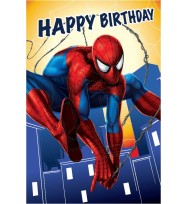 Card birthday value a200 boys spiderman-pack of 10