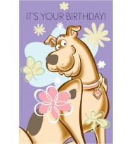 Card birthday value a200 girls scooby-pack of 10