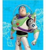 Gift bag value a250 boys toy story
