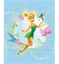 Gift bag value a250 girls fairies