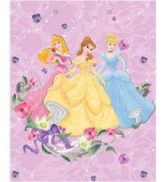 Gift bag value a250 girls princesses
