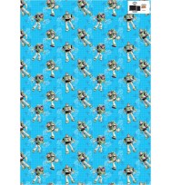 Wrap flat value a100 toy story pk 10