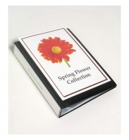 Display book a4 clearview black 100 pocket