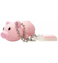 Computer pocket disk usb piggy 8gb