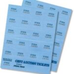 Tickets Cent Auction Coloured Pk500 Shts
